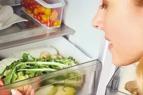 Як довше зберігати продукти &ndash; Candy випустив серію енергоефективних холодильників Fresco 300