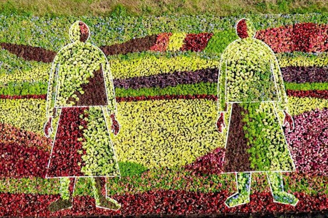 Дивіться, які квіткові композиції створили у кожному районі до Дня Києва: адреси