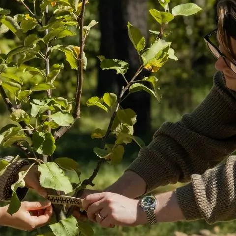 Куди піти у Києві 1&ndash;2 листопада: афіша для різних ритмів