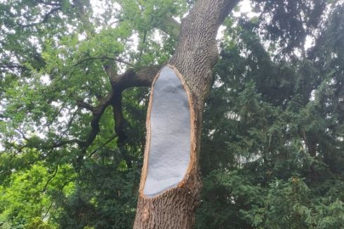 У ботсаду імені Фоміна врятували віковий дуб: фото