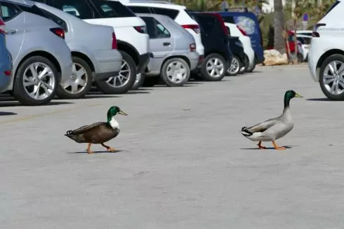 У Києві облаштують 6 перехоплювальних паркінгів