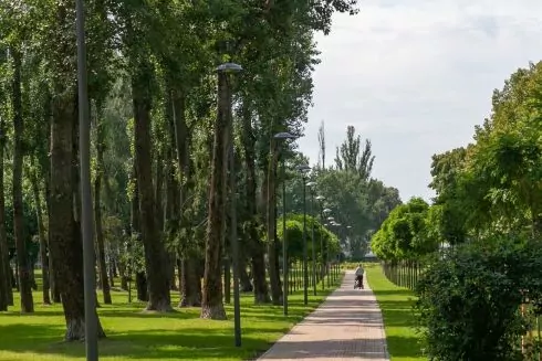 Понад 5 млн гривень привласнили посадовці "Київзеленбуду" під час ремонту парків та скверів