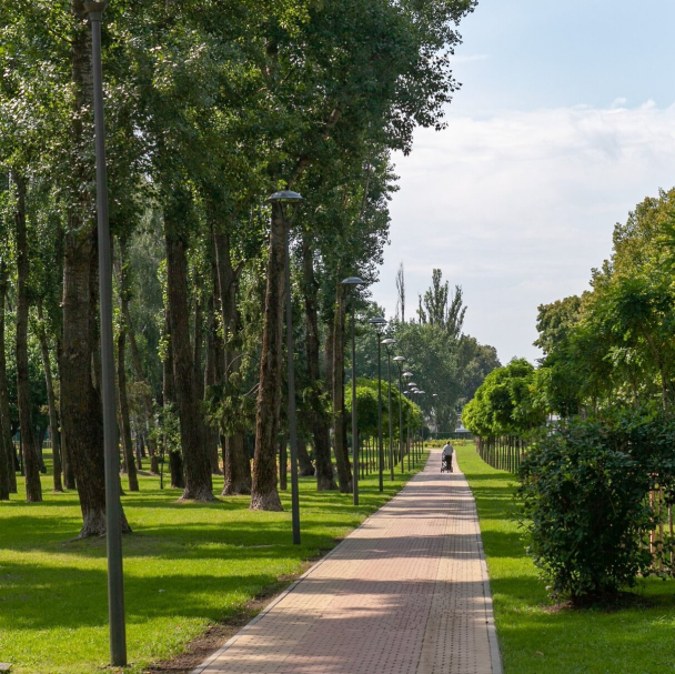 Більше 5 млн гривень привласнили посадовці "Київзеленбуду" на ремонті парків та скверів