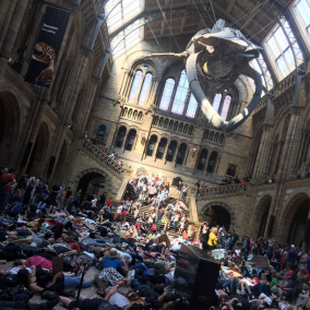 В Лондоне экоактивисты захватили Музей естествознания