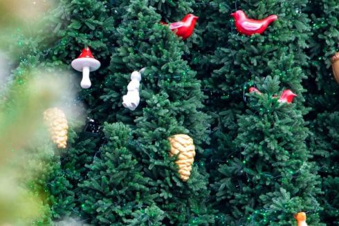 Фото дня: головну ялинку на Софійській площі прикрасили і підсвітили