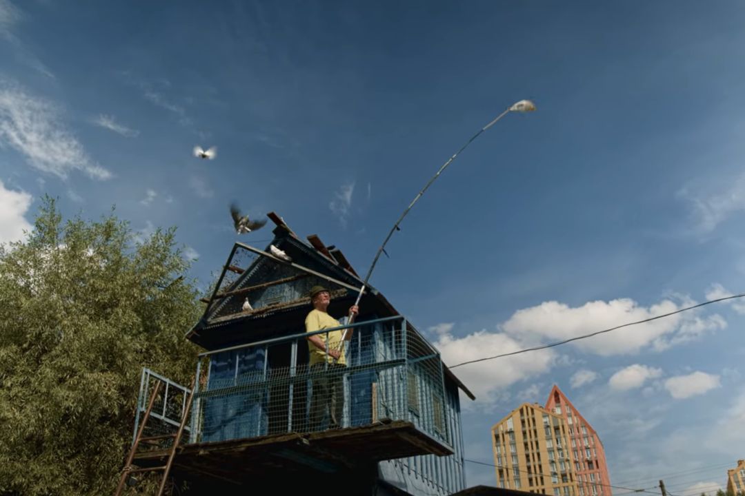 Що подивитися на вихідних: Міні-фільм про голубівників Києва на Takflix