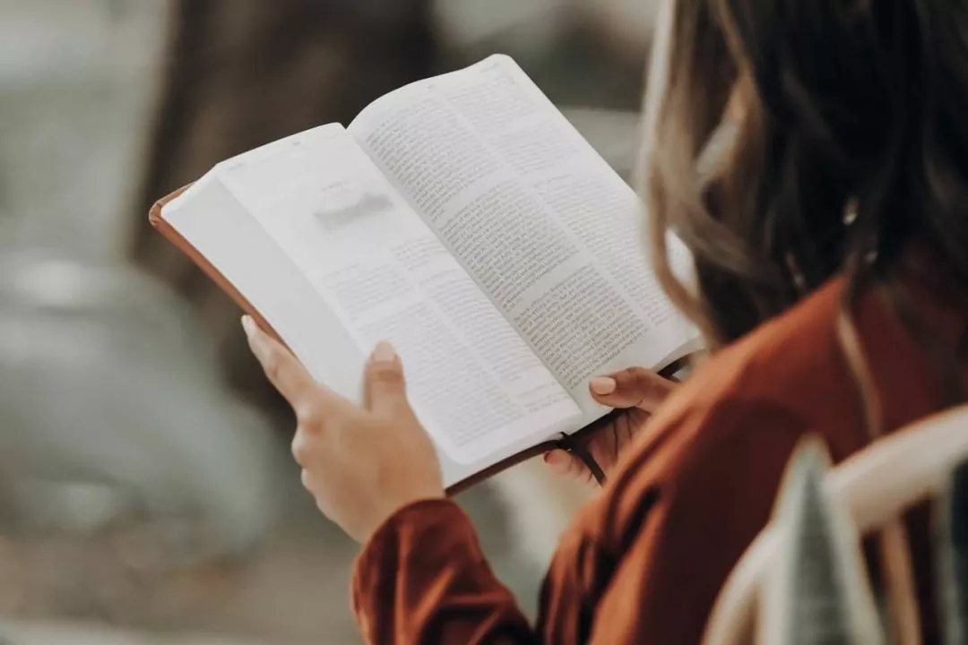 Дивіться список найкращих українських книг 2022 року за версією ПЕН-клубу