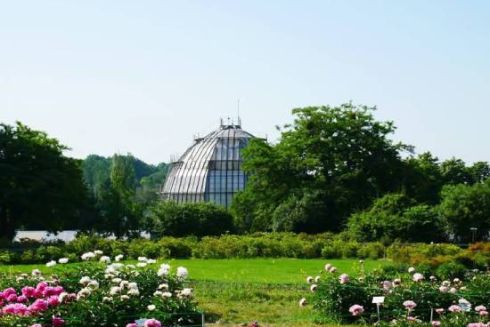 Ботсад імені Гришка розриває договір із забудовником, який хотів збудувати там ЖК