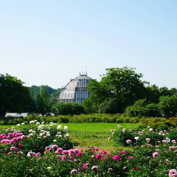 Ботсад імені Гришка розриває договір із забудовником, який хотів збудувати там ЖК
