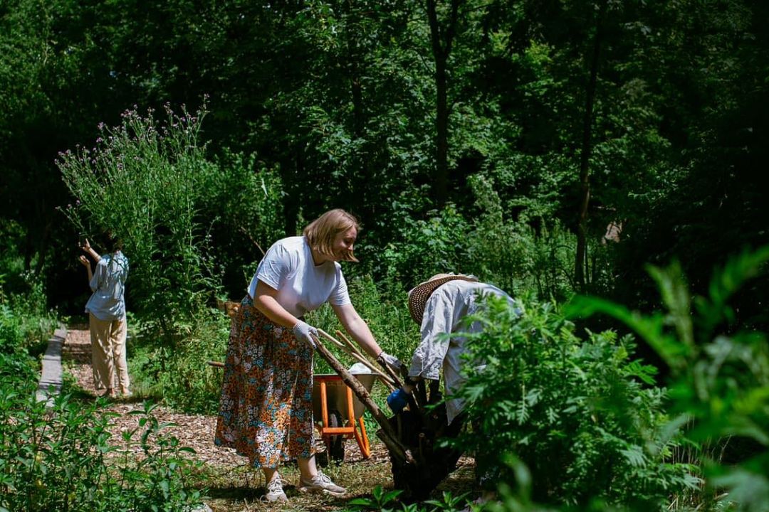 "Сади перемоги": Як в Україні створюють міські городи, які зцілюють і відновлюють громади під час війни