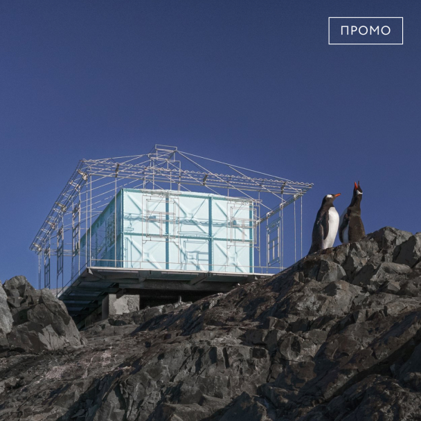 Соавтор артинсталяции в Антарктиде Дмитрий Зиновьев – о проекте “Дім. Спогади”, полярников и пингвинов