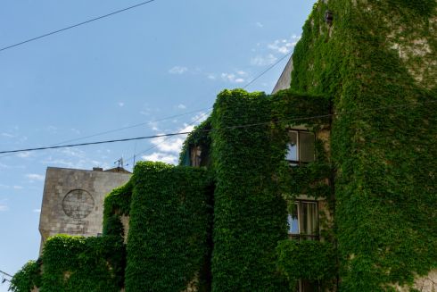 Активісти збирають кошти для захисту у суді Будинку Осипа Родіна та Квітів України