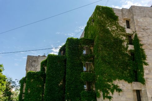 Забудовник хоче стягнути з архітектора Квітів України 300 000 гривень на судові витрати