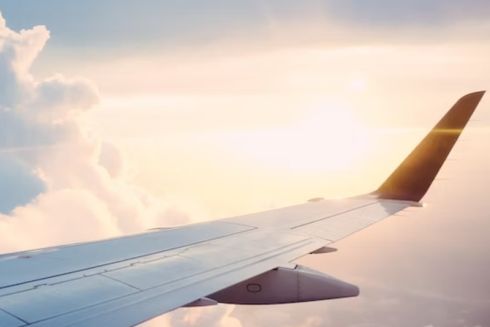 Ryanair планирует создать 30 маршрутов и несколько баз в Украине после окончания войны