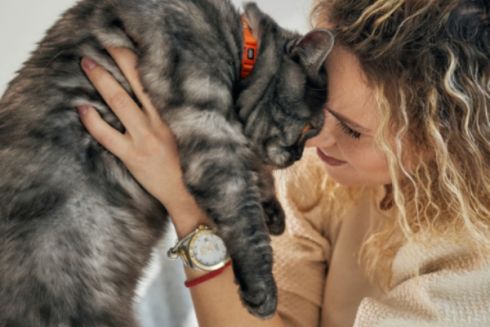 Ініціатива Look 4 Paws запустила сайт, на якому можна обрати улюбленця з притулку