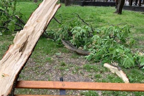 В киевском зоопарке животным проводят антистрессовую терапию после падения обломков ракеты