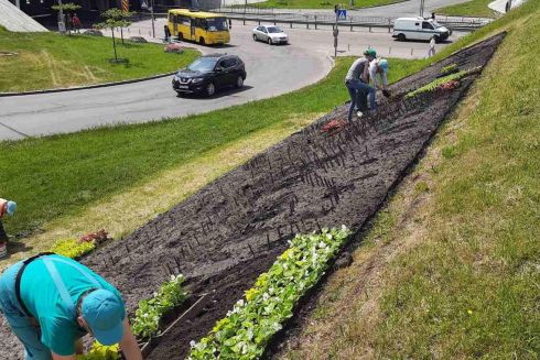 "Вперед к победе": возле Левобережной высаживают самый большой цветник-панно