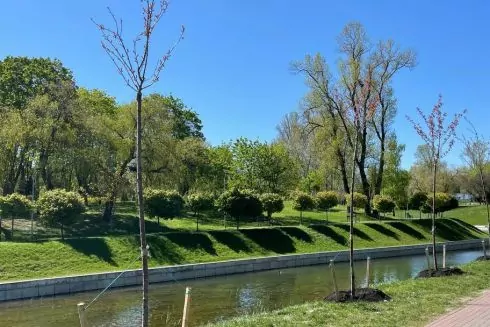 В парке "Отрадный" высадили сакуры