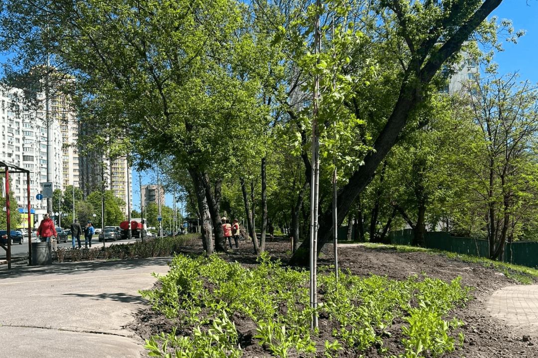 Возле "Голосеевского" парка вместо демонтированных МАФов высадили деревья и кустарники.
