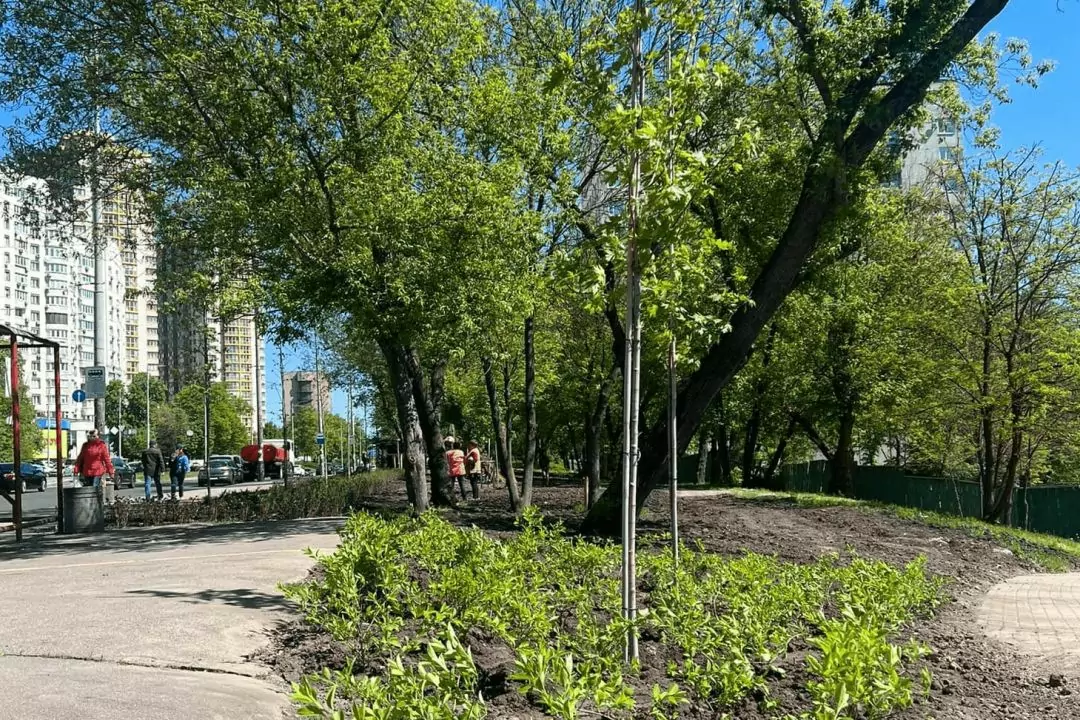 Біля "Голосіївського" парку замість демонтованих МАФів висадили дерева та кущі