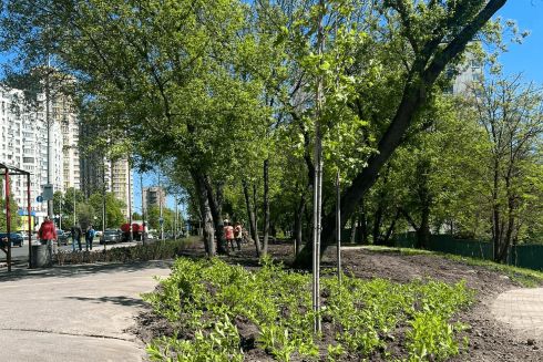 Біля "Голосіївського" парку замість демонтованих МАФів висадили дерева та кущі