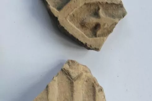 В Триполье на огороде обнаружили обломки печей и горшков XVII века