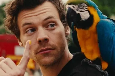 Украинка Таню Муиньо сняла еще один клип для Гарри Стайлза