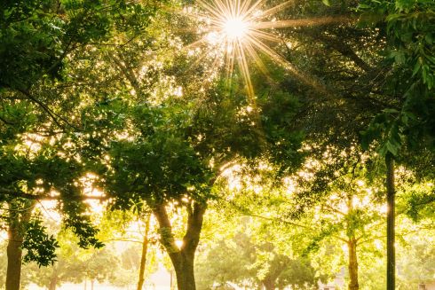 Влітку цього року на Подолі з'явиться новий сквер