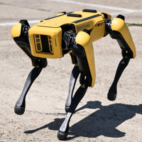 Киевщину будут разминировать с помощью американского робота-пса