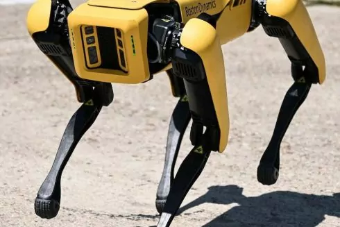 Київщину будуть розміновувати за допомогою американського робота-пса