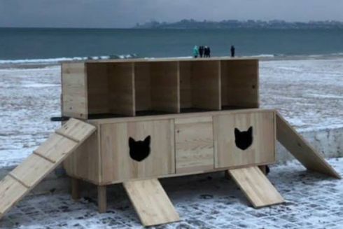 В Одесі з'явилися будинки для бездомних котів