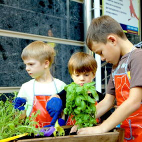 У київських дитсадках і школах створять мікро-ферми