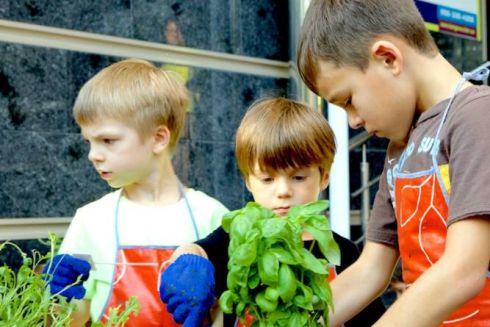 У київських дитсадках і школах створять мікро-ферми