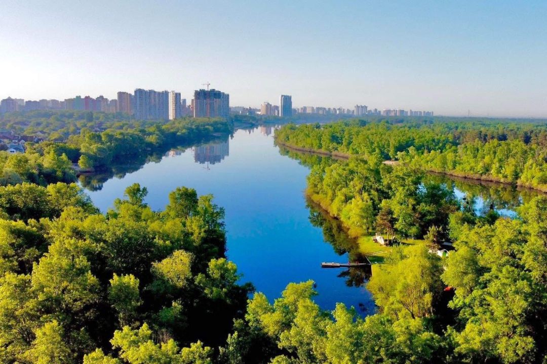 Прокуратура Києва розслідує вирубку дерев біля Русанівської протоки — що каже забудовник