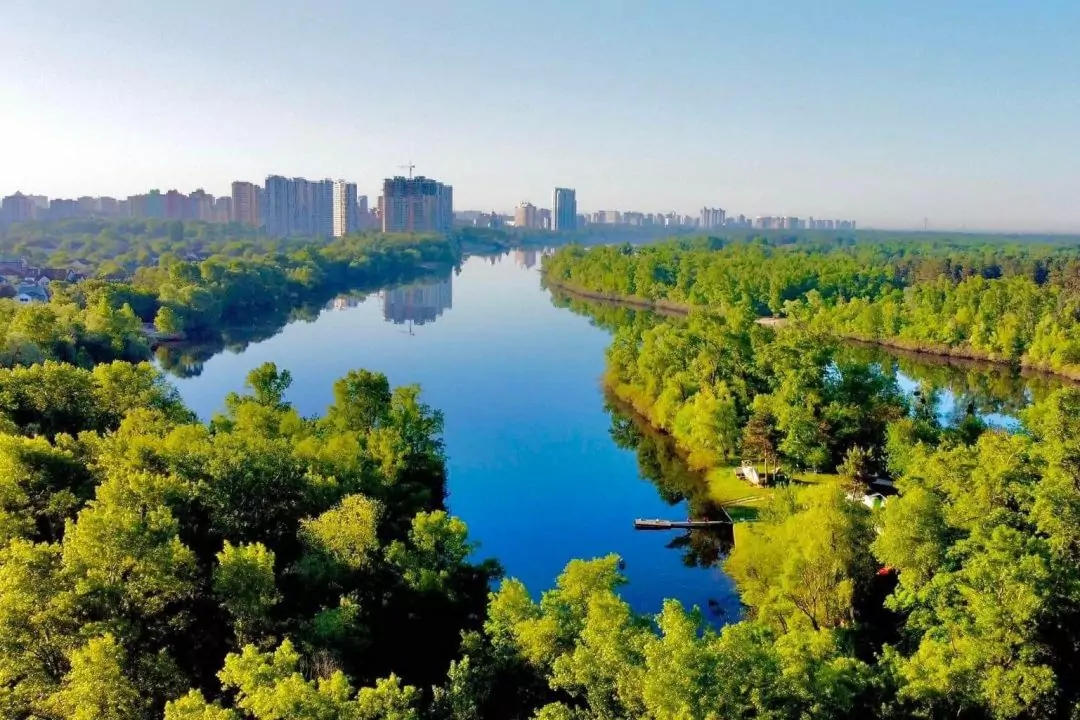 Прокуратура Києва розслідує вирубку дерев біля Русанівської протоки &mdash; що каже забудовник