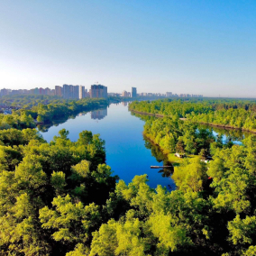 Прокуратура Києва розслідує вирубку дерев біля Русанівської протоки — що каже забудовник
