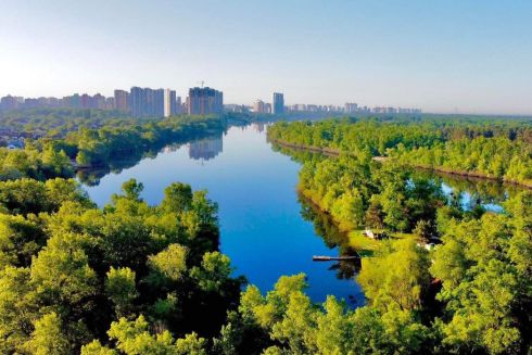 Прокуратура Києва розслідує вирубку дерев біля Русанівської протоки — що каже забудовник