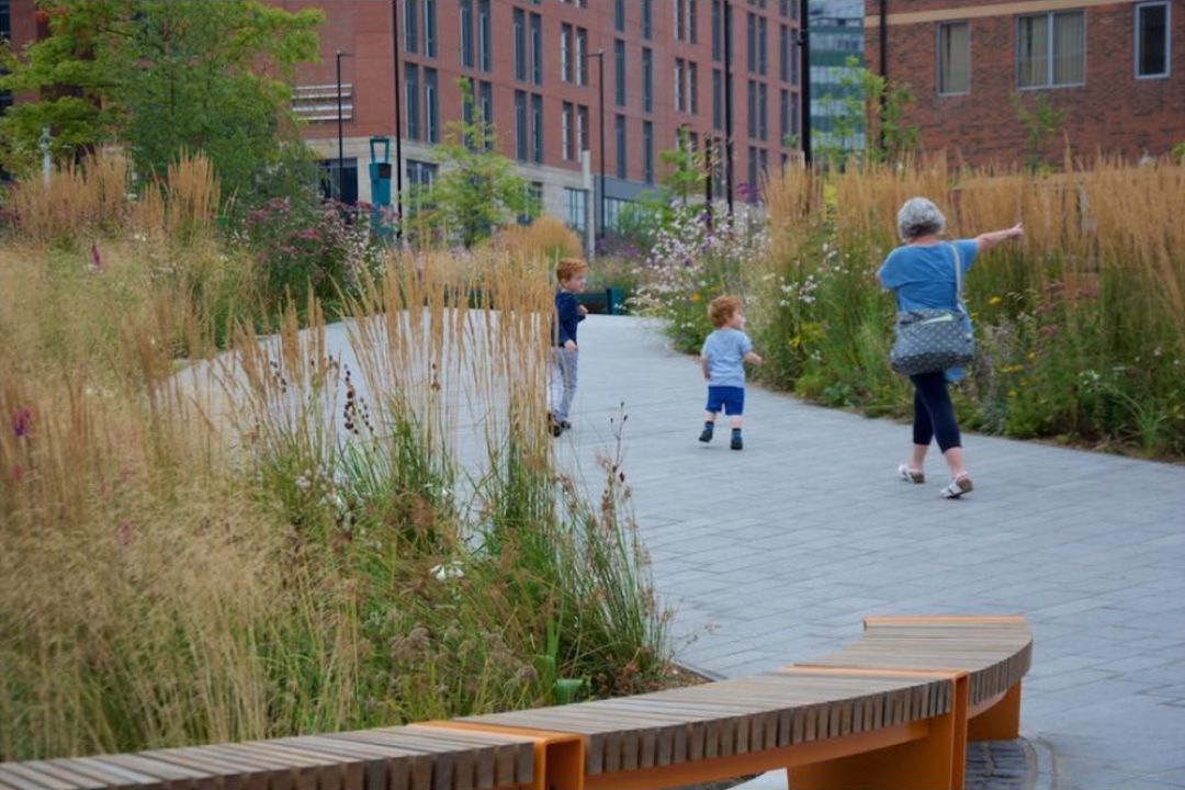 В Киеве создадут 64 декоративных луга: их засеют в каждом районе