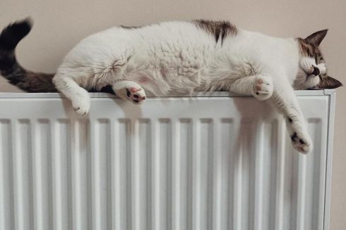 Тарифи на опалення та гарячу воду не будуть підвищувати до завершення воєнного стану