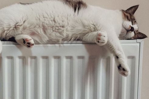 Взимку Київ забезпечать теплом навіть за відсутності електроенергії