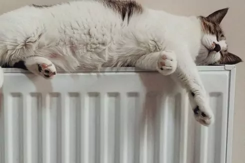 Зимой Киев обеспечат теплом даже при отсутствии электроэнергии