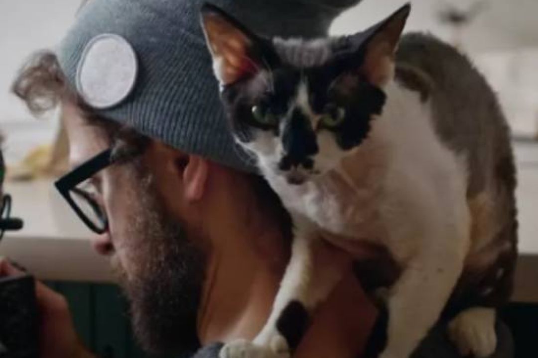 Фільм Антона Птушкіна “Ми, наші улюбленці та війна” вийшов на Netflix