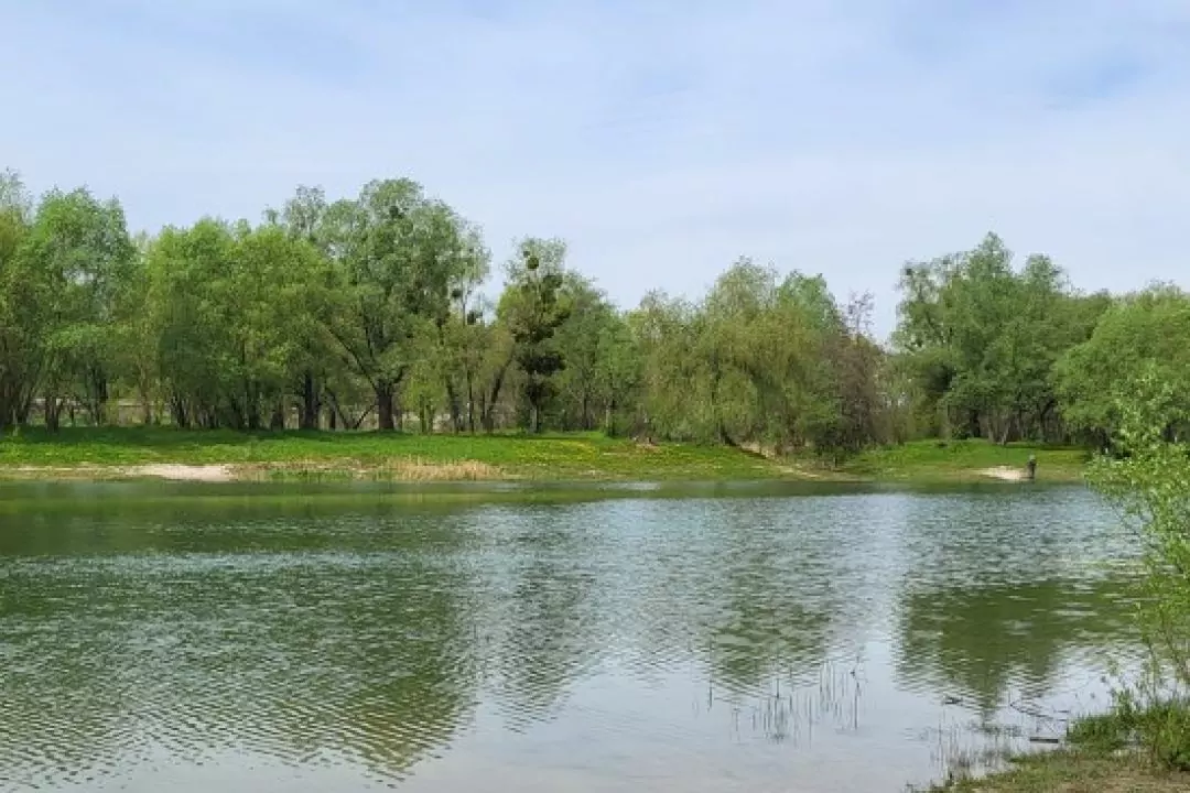Упродовж цього року в Києві розчистять озеро Синє і проведуть на території благоустрій