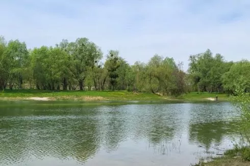 Упродовж цього року в Києві розчистять озеро Синє і проведуть на території благоустрій