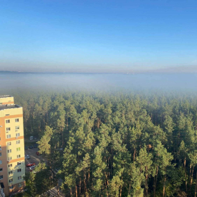 У Києві заборонили відвідувати ліси під час воєнного стану