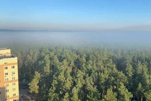 В Киеве запретили посещать леса во время военного положения