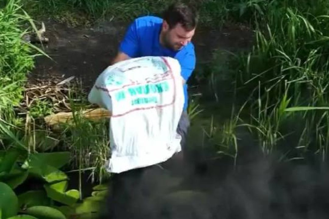 Озеро на Позняках очистили сорбентом, який поглинає нафту