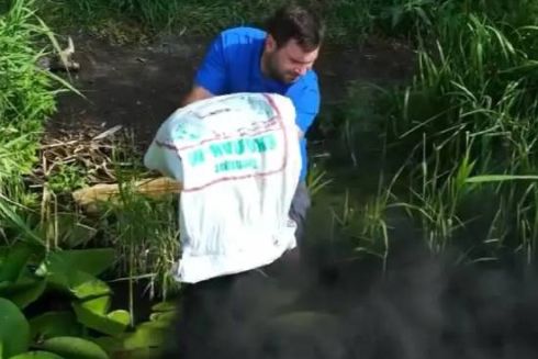 Озеро на Позняках очистили сорбентом, який поглинає нафту