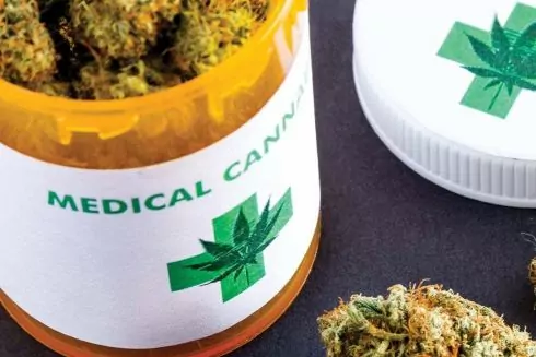 В Украине легализовали медицинский каннабис в отдельных препаратах