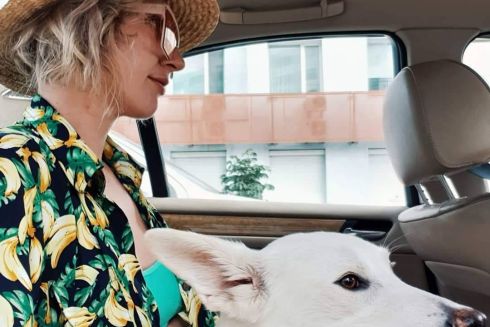 Четыре приютные истории: как мы взяли домашних животных с улицы